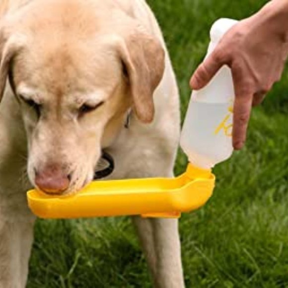 Dog New With Tag Gulpy Pet Water Bottle Orange Dispenser 2 Oz Poshmark